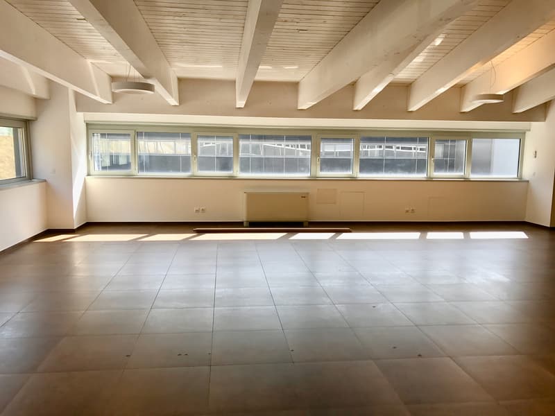 Spazio Commerciale di 338 mq con 3 uffici in Zona Comoda a Castione (6)