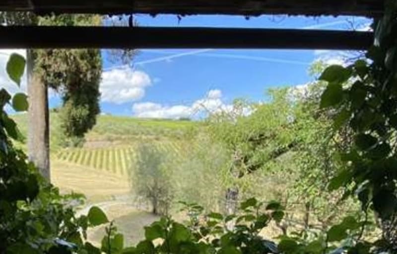 Villa in Stile Toscano con Dependance, Piccolo Vigneto e Oliveto (8)