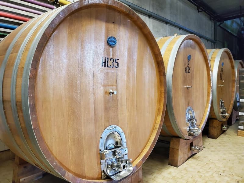Vigneti di ca. 500 ettari con Ulivi, Bosco con Tartufi in Chianti (11)