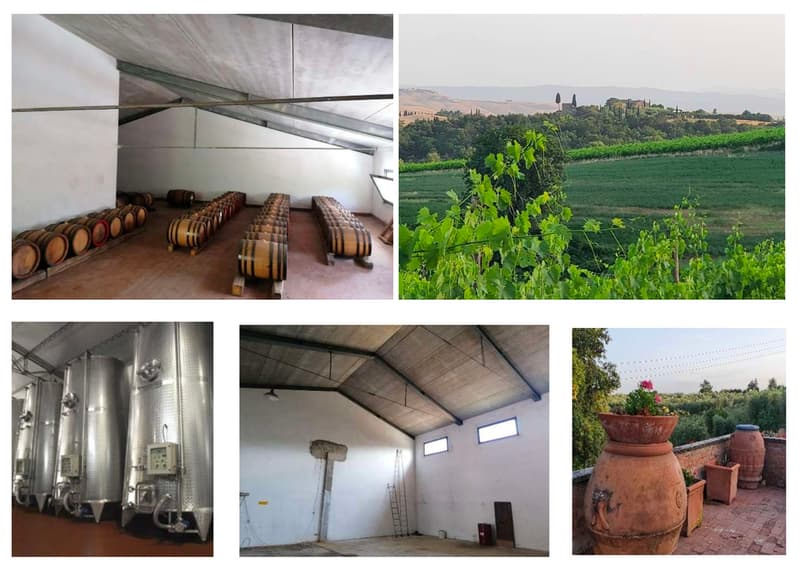 Vigneti di ca. 500 ettari con Ulivi, Bosco con Tartufi in Chianti (8)
