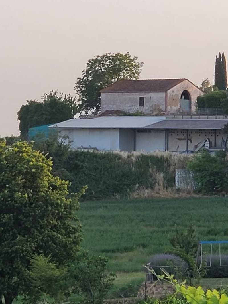 Vigneti di ca. 500 ettari con Ulivi, Bosco con Tartufi in Chianti (6)