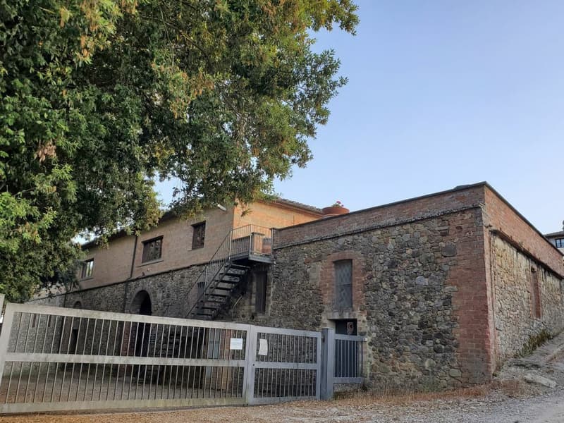 Vigneti di ca. 500 ettari con Ulivi, Bosco con Tartufi in Chianti (4)