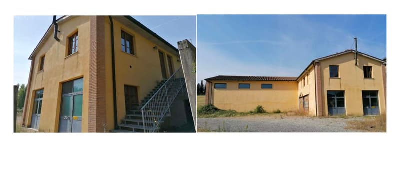 Vigneti di ca. 500 ettari con Ulivi, Bosco con Tartufi in Chianti (7)