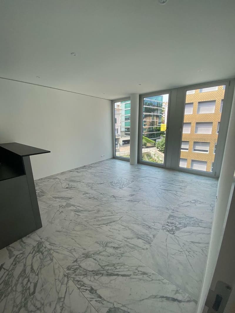 Moderno Appartamento con Finiture di Alta Qualità a Lugano-Paradiso (1)