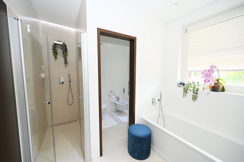 Villa Moderna e Ecologica con Standard Minergie a Breganzona (13)