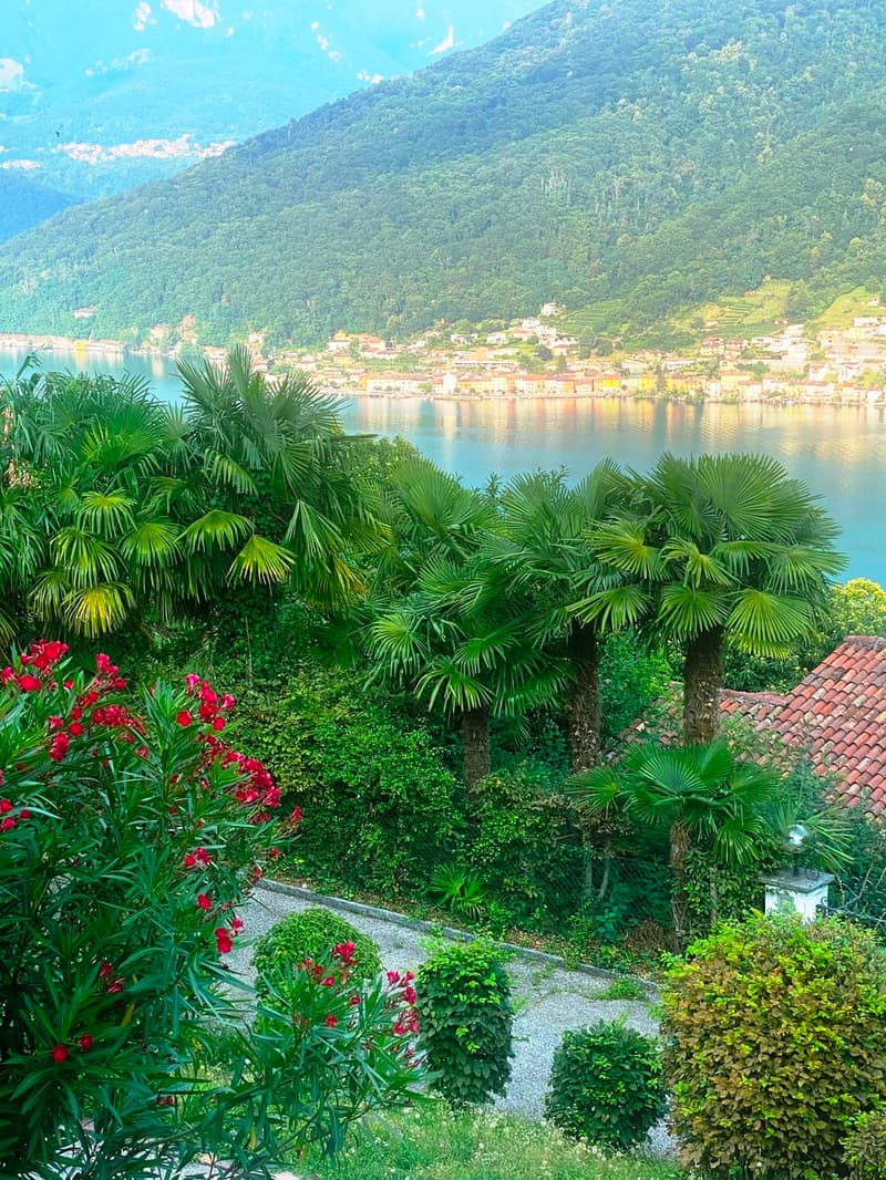 Villa da Ristrutturare con Vista a 180 sul lago di Lugano (8)