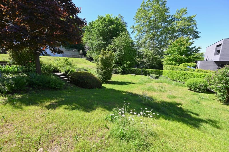Terreno Edificabile a Montagnola - Prestigiosa Zona Residenziale (3)