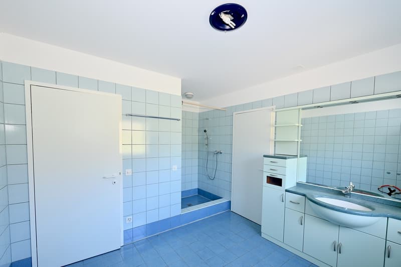 Luminoso Appartamento con Giardino Privato in Casa Bifamiliare (10)