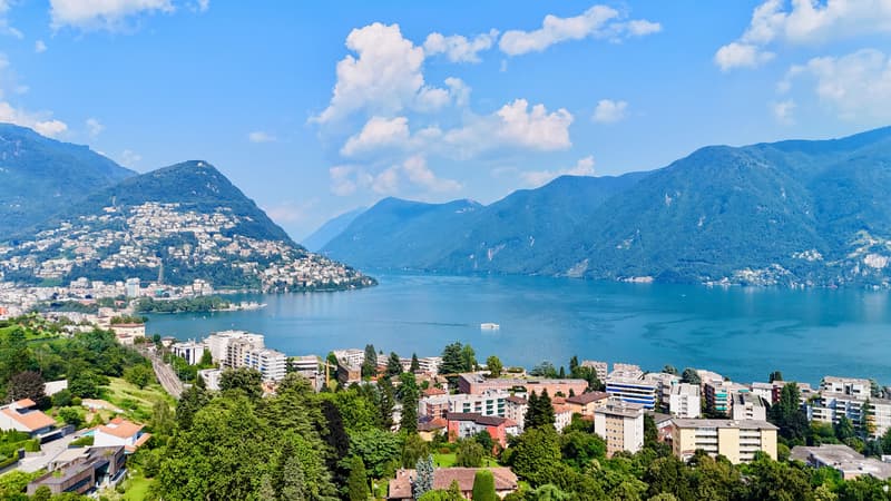 Villa di Prestigio con Splendido Parco vicino al centro di Lugano (3)
