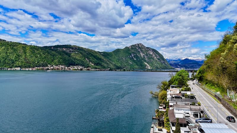 Oasi sul Lago di Lugano - Villa pieds dans l'eau con darsena privata (5)