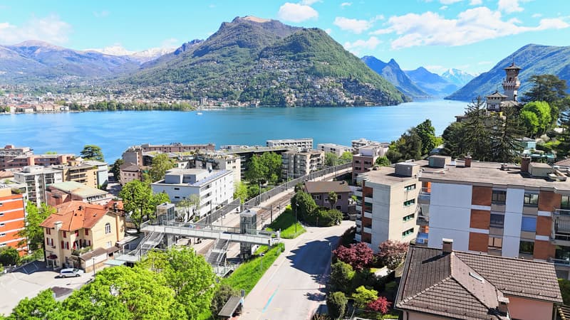 Lusso, Comfort e Vista Lago: Raffinato 4.5 Locali a Paradiso (4)