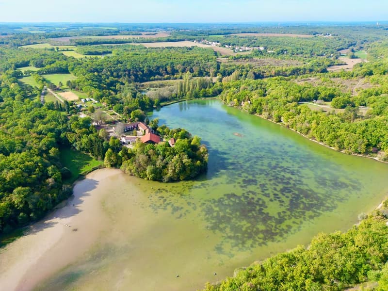 Esclusiva Tenuta di 80ha con Lago di 10ha (2)