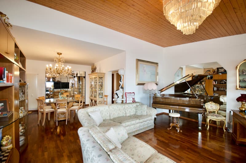 Casa di Vacanza - Appartamento con Vista Mozzafiato sul Lago di Lugano (7)