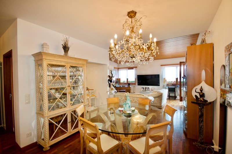 Casa di Vacanza - Appartamento con Vista Mozzafiato sul Lago di Lugano (9)