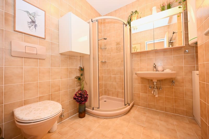 Ferienwohnung mit See-Panorama & Aussenpool (12)