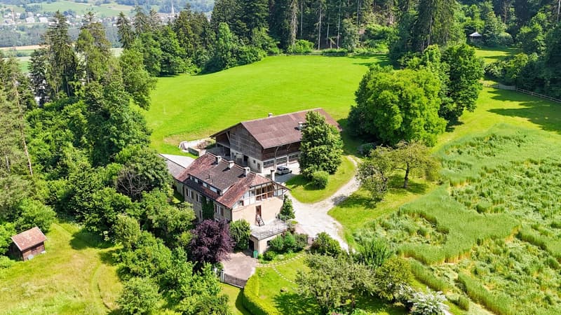 Tenuta di charme con 21 ettari di terreno, casa del contadino e stalle (7)