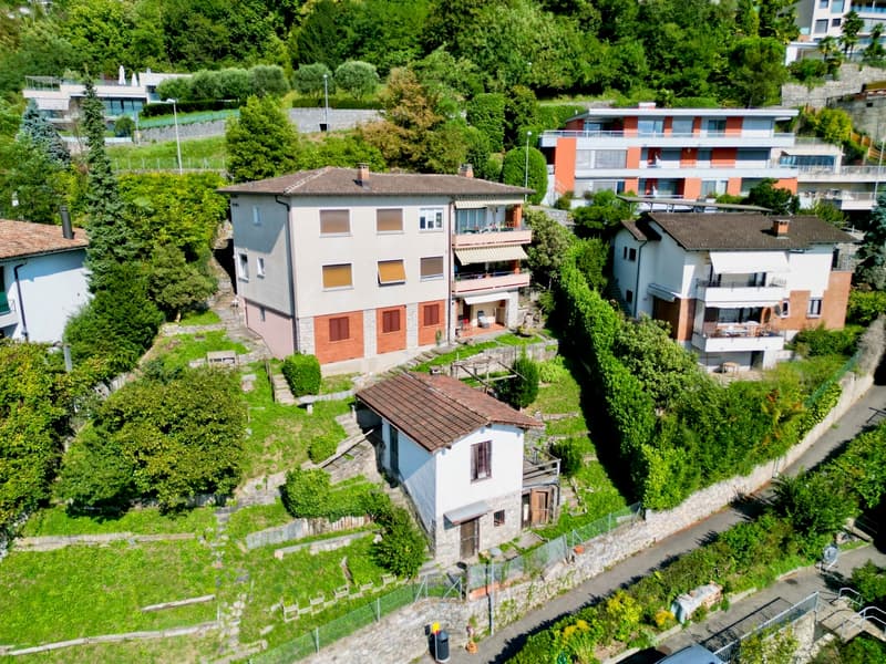 Proprietà con Grande Potenziale Edificatorio sul Monte Brè (4)