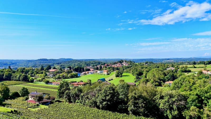 Prestigiosa villa Contemporanea con Giardino, Piscina e Vigna Privata (8)