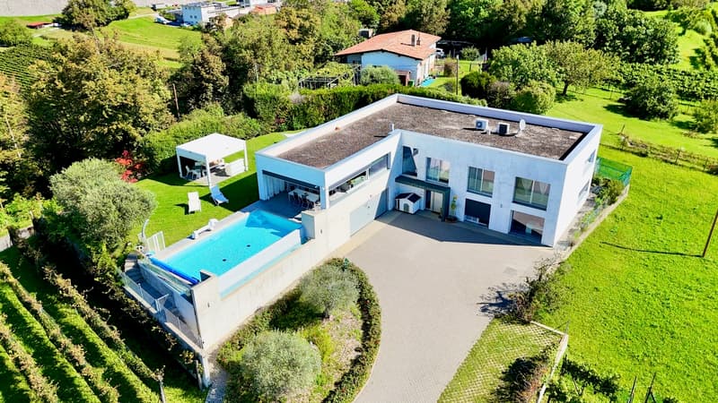 Prestigiosa villa Contemporanea con Giardino, Piscina e Vigna Privata (2)