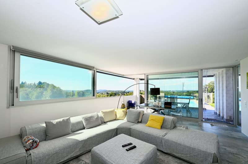 Prestigiosa villa Contemporanea con Giardino, Piscina e Vigna Privata (11)