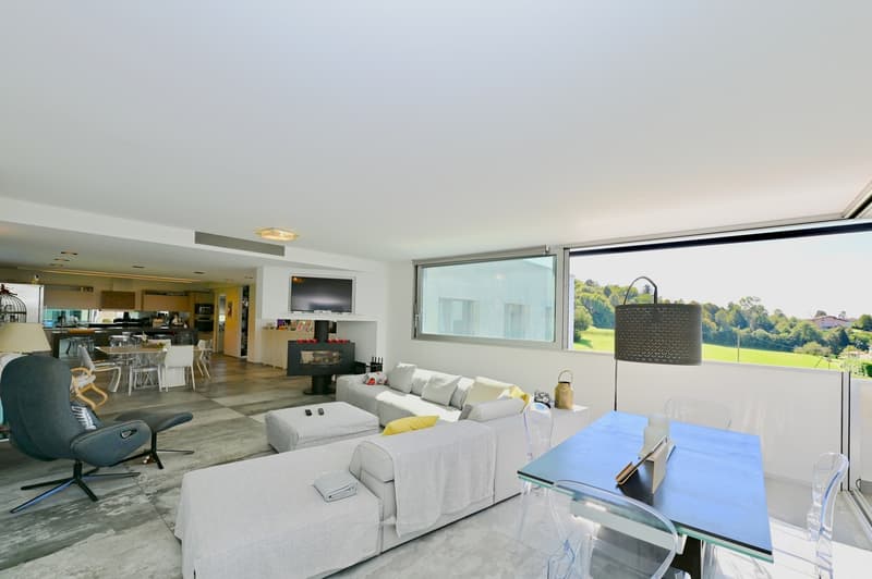 Prestigiosa villa Contemporanea con Giardino, Piscina e Vigna Privata (9)