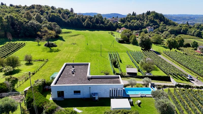 Prestigiosa villa Contemporanea con Giardino, Piscina e Vigna Privata (6)