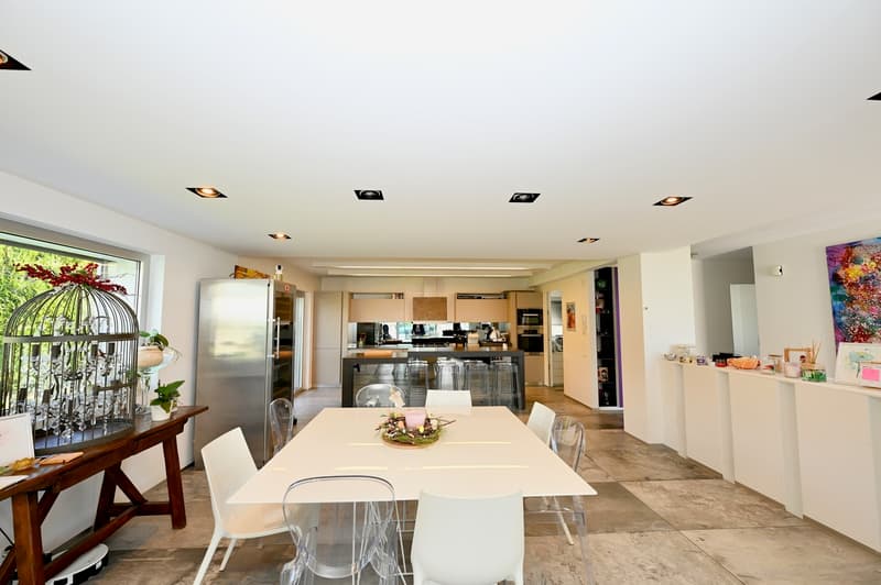 Prestigiosa villa Contemporanea con Giardino, Piscina e Vigna Privata (13)