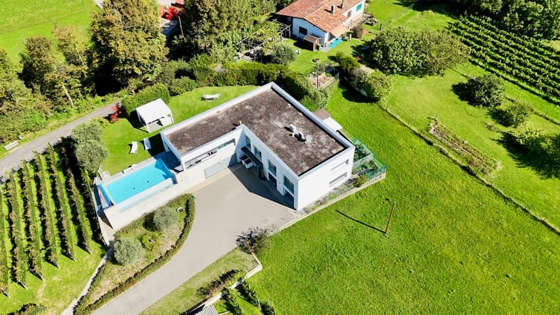 Prestigiosa villa Contemporanea con Giardino, Piscina e Vigna Privata (7)