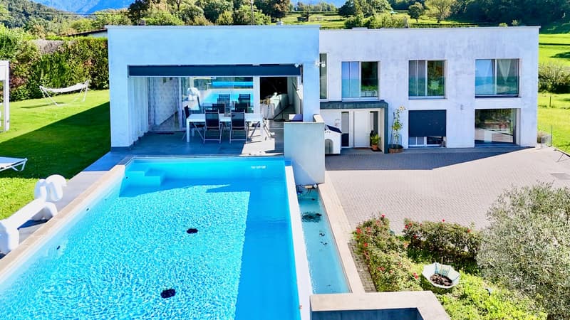 Prestigiosa villa Contemporanea con Giardino, Piscina e Vigna Privata (3)