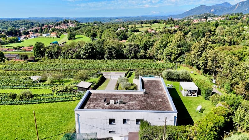Prestigiosa villa Contemporanea con Giardino, Piscina e Vigna Privata (5)