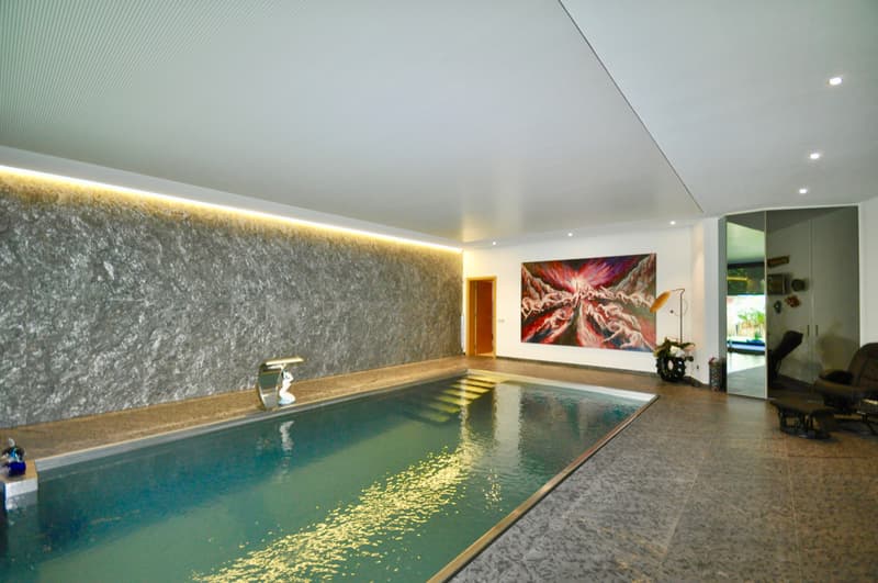 Villa di Pregio con Piscina e SPA, 400 m dalla scuola TASIS (4)