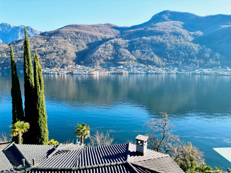 Esclusiva Villa di Lusso con Piscina Coperta e Vista Lago (3)
