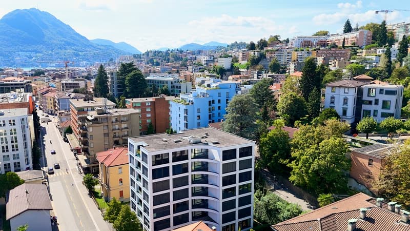 Appartamento a Pochi Passi dal Centro di Lugano (2)