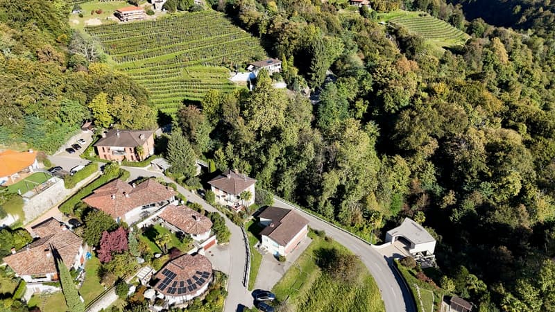 Terreno edificabile in zona verde e ottimo potenziale a Pura (4)
