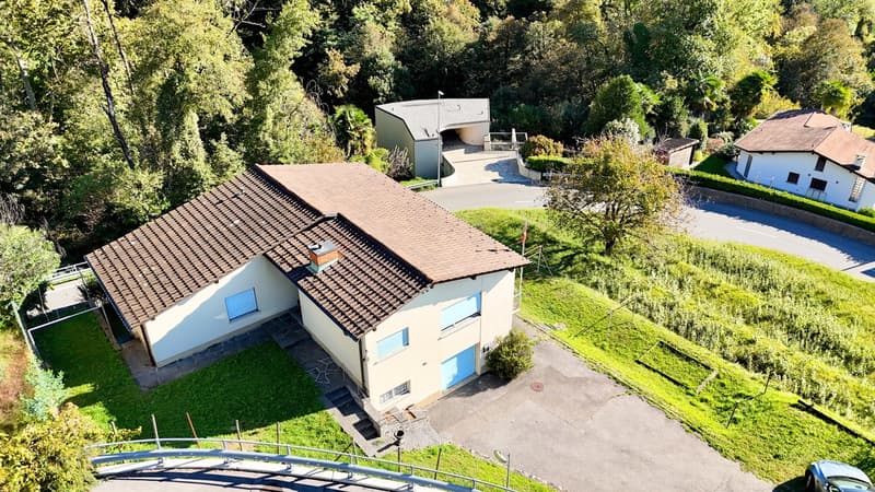 Terreno edificabile in zona verde e ottimo potenziale a Pura (1)