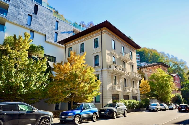 Raffinato Appartamento Duplex a Cassarate-Castagnola (2)