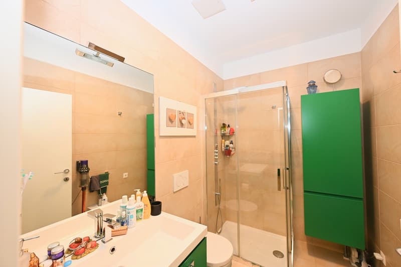 Raffinato Appartamento Duplex a Cassarate-Castagnola (7)