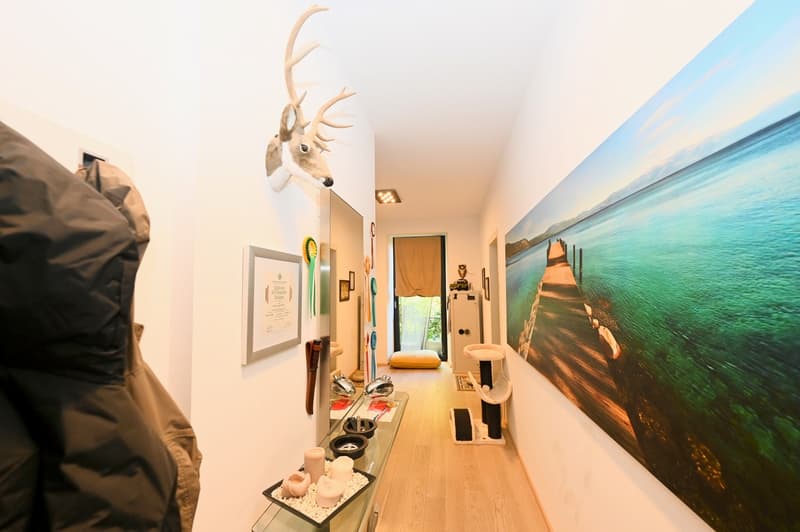 Raffinato Appartamento Duplex a Cassarate-Castagnola (8)