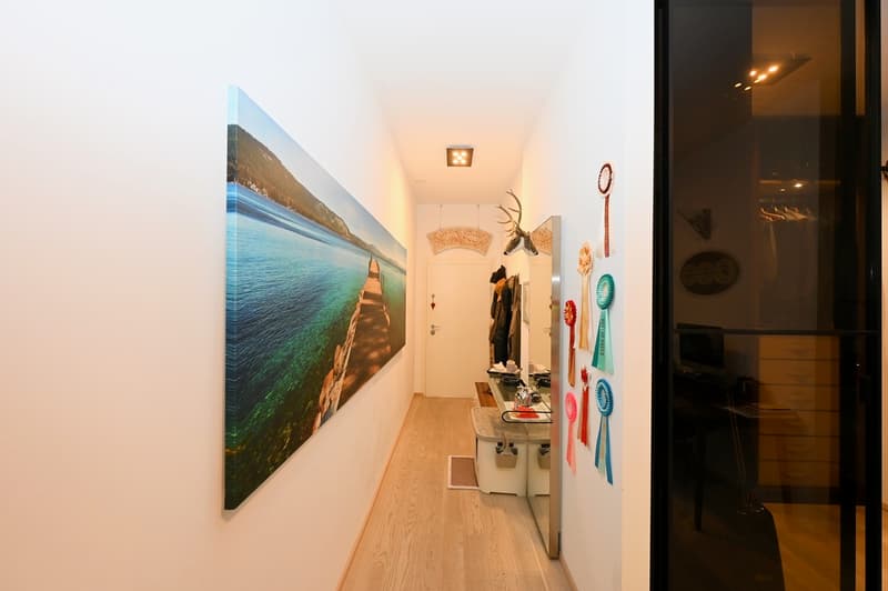 Raffinato Appartamento Duplex a Cassarate-Castagnola (9)