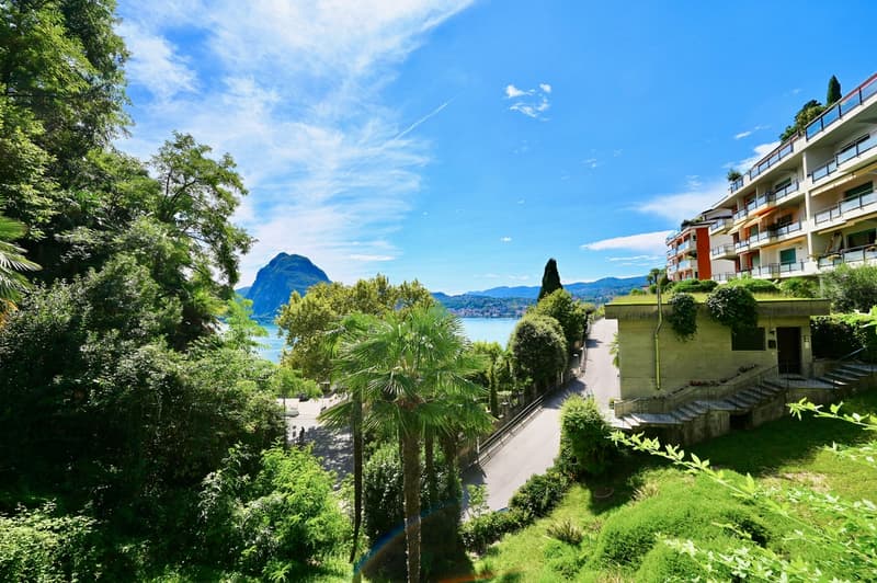 Appartamento con Meravigliosa Vista sul Lago di Lugano e sulla Città (2)