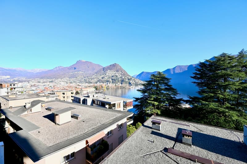 Elegante Appartamento con Vista Lago Mozzafiato a Lugano (3)