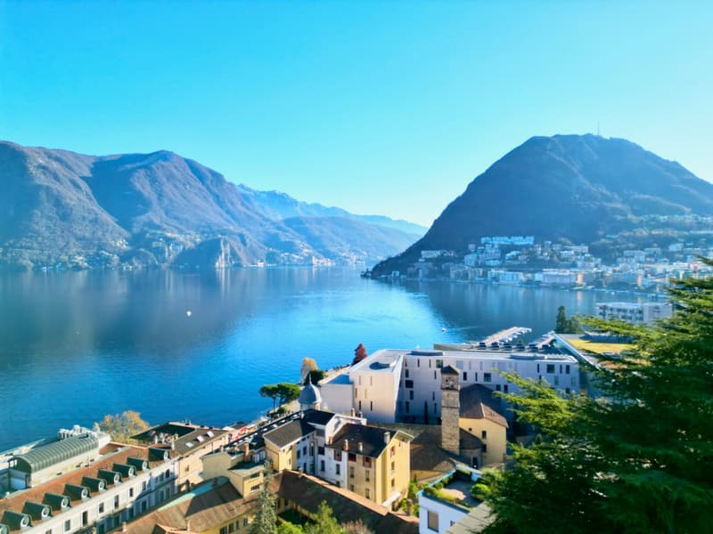 Elegante Appartamento con Vista Lago Mozzafiato a Lugano (2)