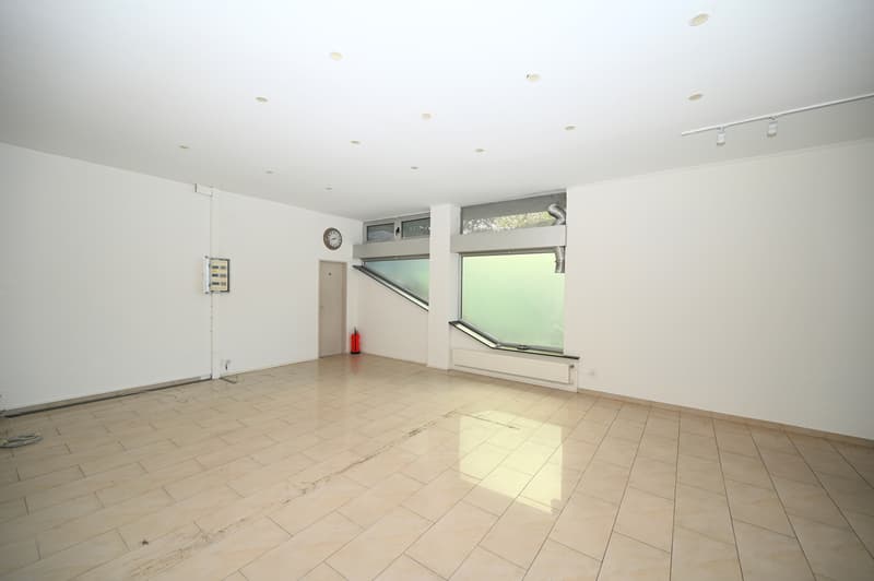 Prestigioso Spazio Commerciale in Prima Linea a Lago nel Central Park (9)
