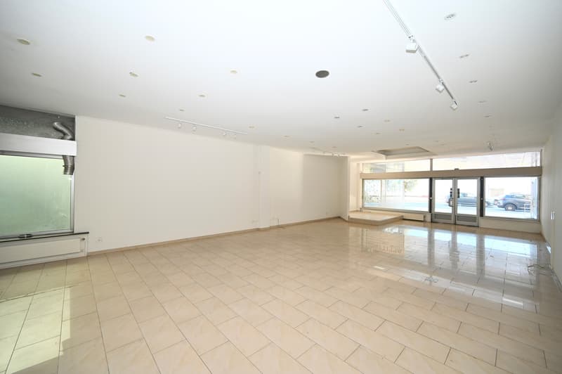 Prestigioso Spazio Commerciale in Prima Linea a Lago nel Central Park (6)