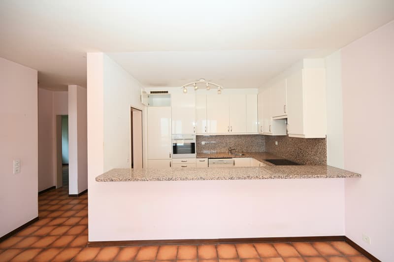 VISTA LAGO IMPERDIBILE - APPARTAMENTO 4.5 LOCALI CON POTENZIALE (6)