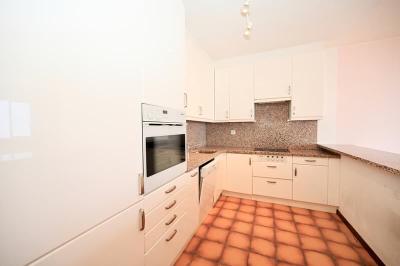 VISTA LAGO IMPERDIBILE - APPARTAMENTO 4.5 LOCALI CON POTENZIALE (7)