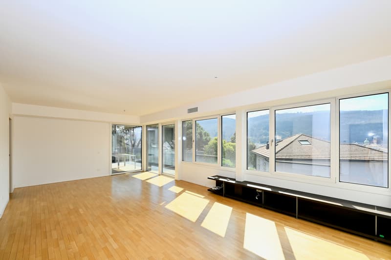 Moderno e Luminoso Appartamento con Terrazza Panoramica a Vacallo (3)