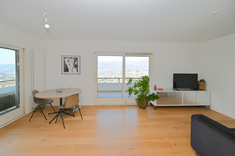 Raffinato Appartamento con Giardino e Vista sul Golfo di Lugano (6)
