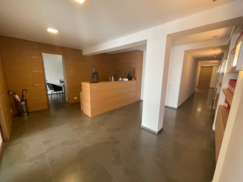 Uffici Rappresentativi con Vista Lago e Posto Auto nel Cuore di Lugano (6)