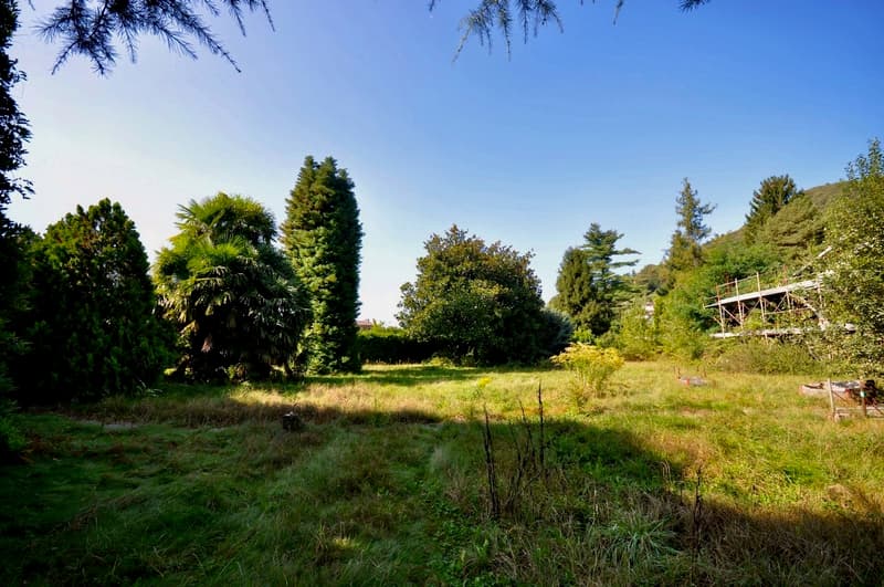 Villa da Ristrutturare Immersa in un Grande Parco con Tanta Privacy (10)